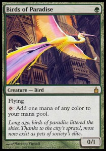 Birds of Paradise RAV-153 Rare Good Englisch