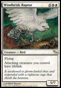 Windbrisk Raptor SHM-26 Rare Poor Englisch