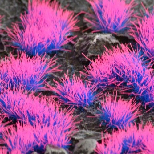Alien Neon Tuft 4mm