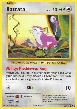 Rattata EVO-66 Common Excellent Englisch Reverse Holo