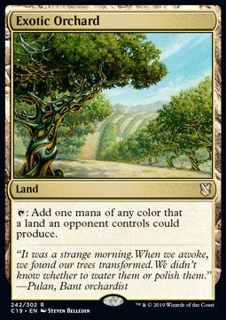 Exotic Orchard C19-242 Rare Excellent Englisch