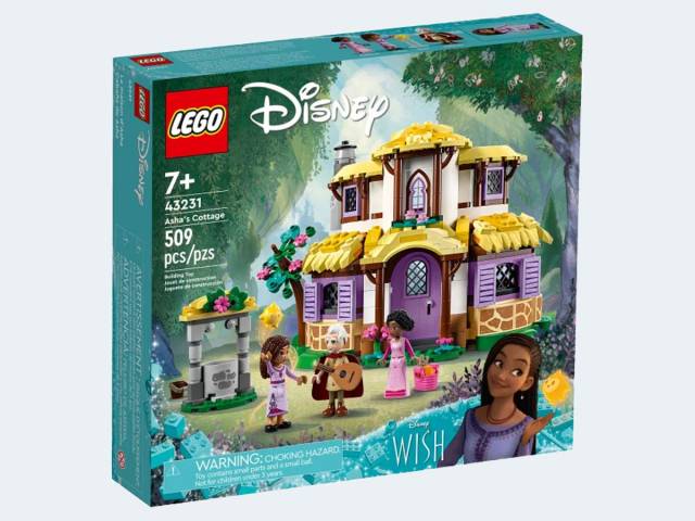 LEGO Princess Ashas Häuschen