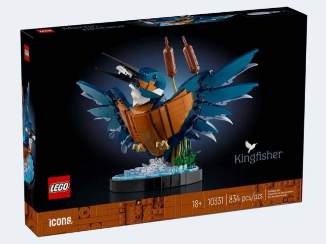 LEGO Icons Eisvogel 834T