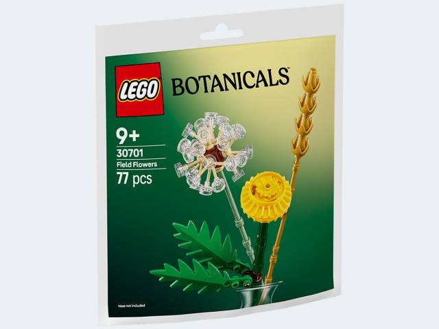 LEGO Paperbag Botanicals Feldblumen