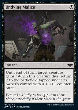 Undying Malice VOW-134 Common Good Englisch