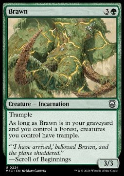 Brawn M3C-224 Uncommon Good Englisch