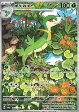 Servine BLK-088 Illustration Rare Near Mint Englisch