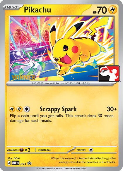 Pokémon Battle-Bear Kaiserslautern TCG Worlds Celebration