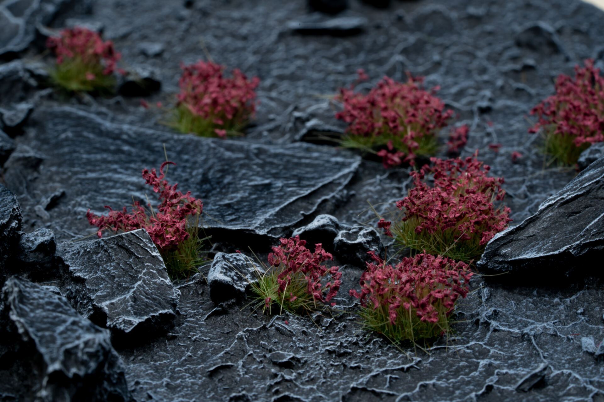 Dark Purple Flowers