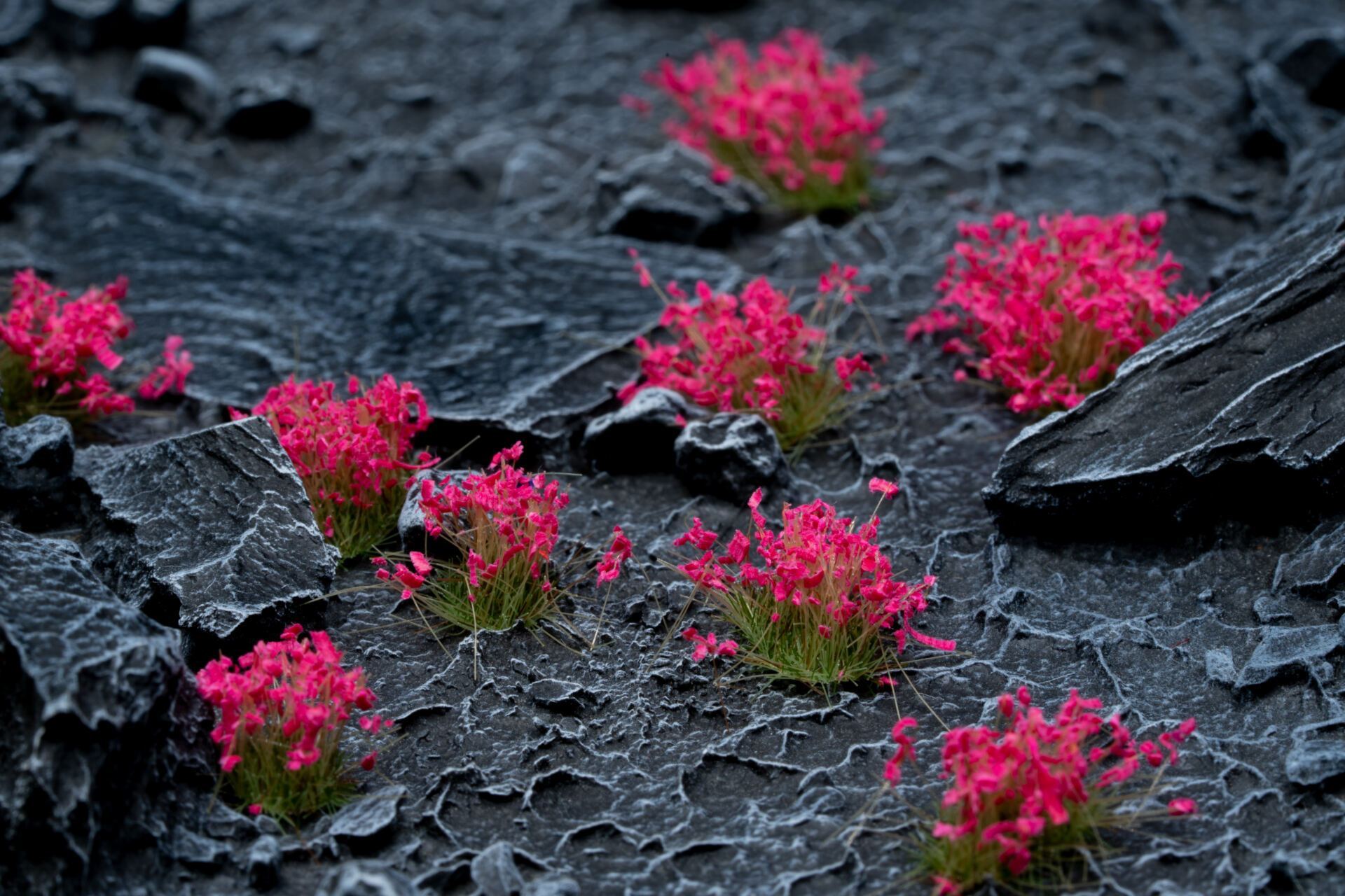 Pink Flowers Tuft 6mm