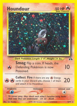 Hunduster NDI-5 Holo Rare Light Played Deutsch 1. Auflage