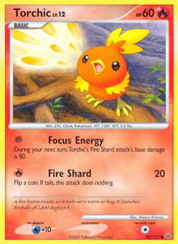 Torchic Lv.12 PL-99 Common Excellent Englisch