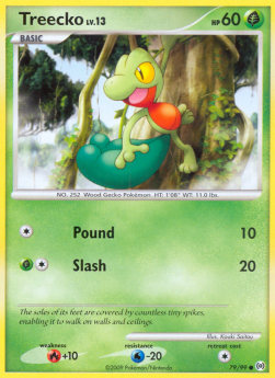 Treecko Lv.13 AR-79 Common Excellent Englisch
