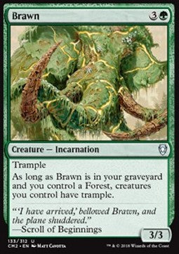 Brawn CM2-133 Uncommon Light Played Englisch