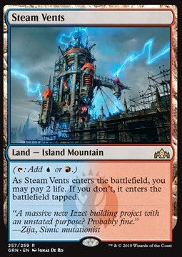 Steam Vents GRN-257 Rare Light Played Englisch