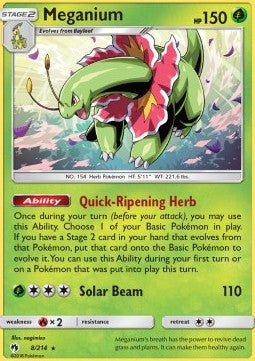 Meganie LOT-8 Holo Rare Good Deutsch