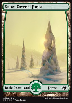Snow-Covered Forest MH1-254 Land Light Played Englisch