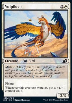 Fuchspapagei IKO-37 Common Excellent Deutsch