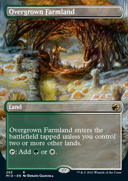 Overgrown Farmland XMID-283 Rare Excellent Englisch