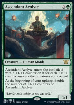 Ascendant Acolyte NEC-24 Rare Near Mint Englisch