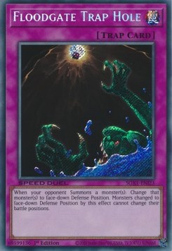 Wasserloch-Fallgrube (V.2) SGX1-I23 Secret Rare Near Mint Deutsch 1. Auflage