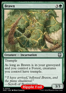Brawn XM3C-224 Uncommon Near Mint Englisch Foil