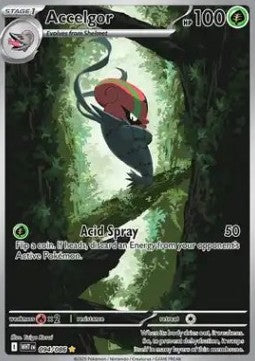 Accelgor WHT-094 Illustration Rare Near Mint Englisch