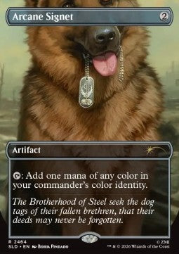 Arcane Signet SLDR-2464 Rare Excellent Englisch Foil